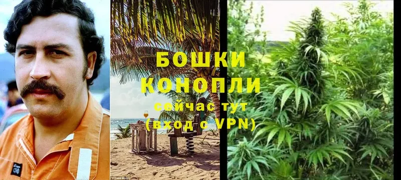 хочу   Городец  Каннабис SATIVA & INDICA 